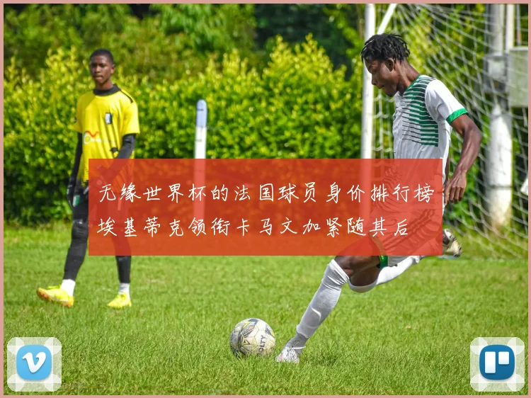 无缘世界杯的法国球员身价排行榜埃基蒂克领衔卡马文加紧随其后
